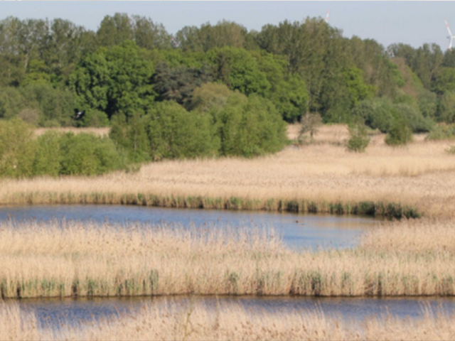 How to turn underutilized areas of Europe into valuable lands to produce sustainable bioenergy?